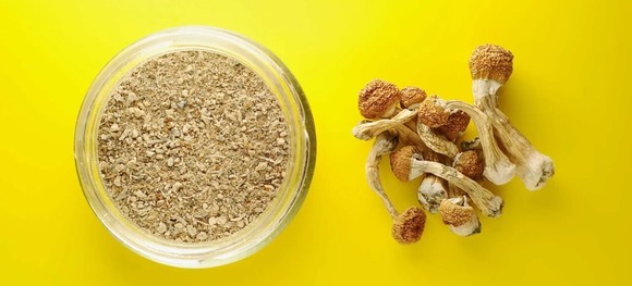 RAND-mushroom-graphic