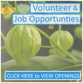 Volunteer & Job Opportunities Image - March 2026