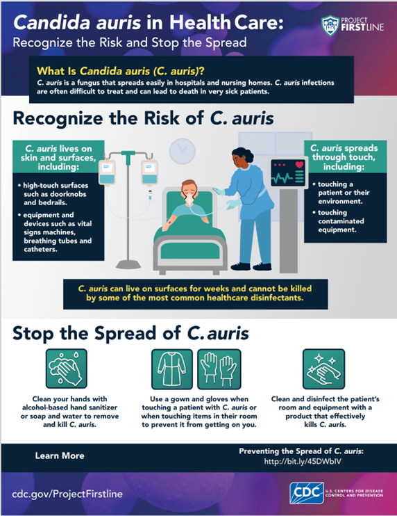 C auris Infographic