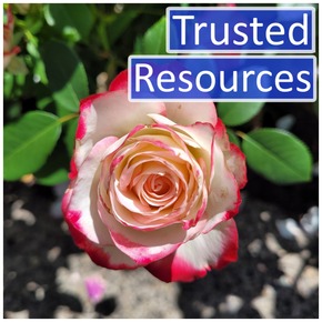 Trusted Resources Title Box - June 2026 Edition