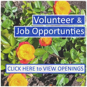 Volunteer & Job Opportunities Title Box - June 2026 Edition