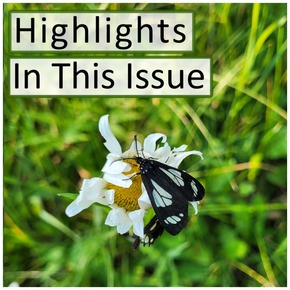 Highlights Title Box Image