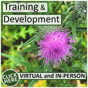 Training and Development Title Box Image - August 2026