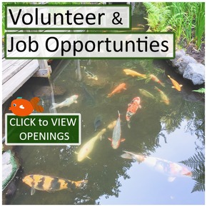 Volunteer and Jobs Title Box Image - August 2026