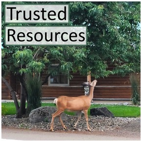 Trusted Resources Title Box Image - August 2026