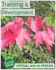 Training & Development - October 2026