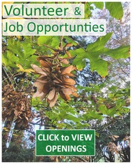 Volunteer & Jobs - October 2026