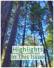 Bulletin Highlights Image