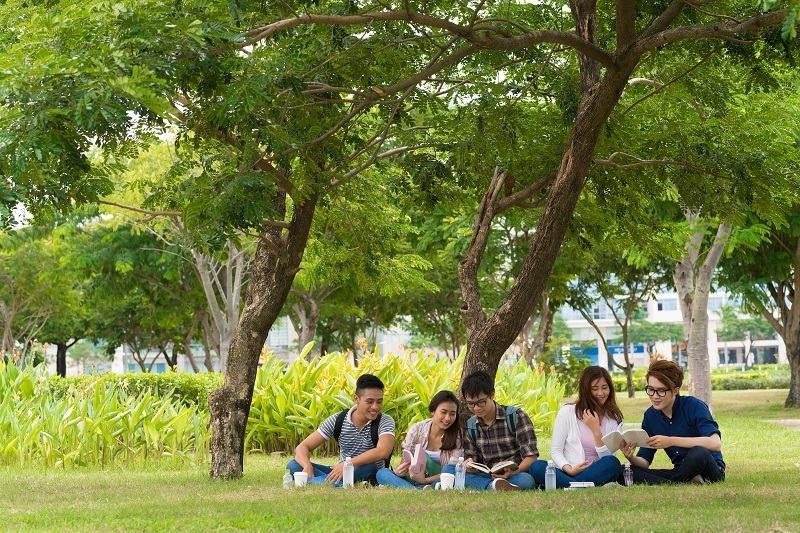 Students sitting near tree