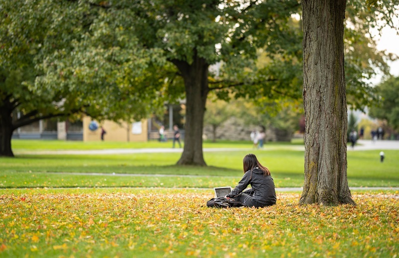 College student on a lawn underneath a tree.
