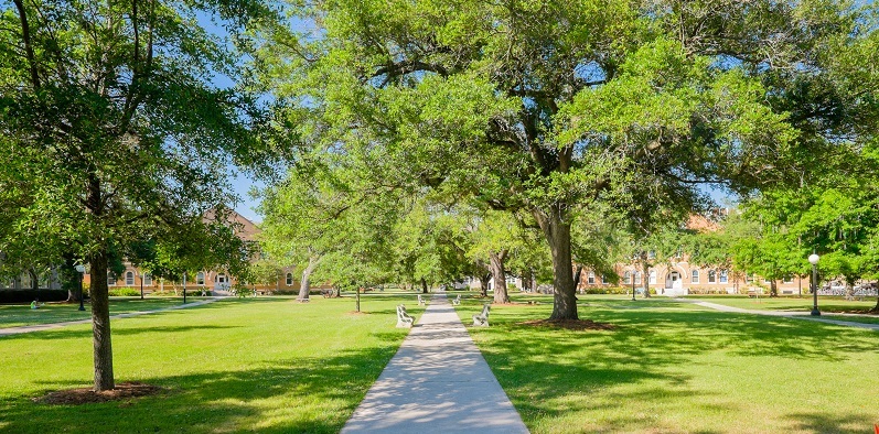 College campus