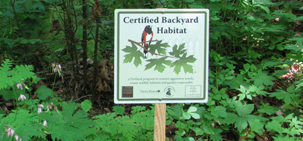 Backyard Habitat Certification Program