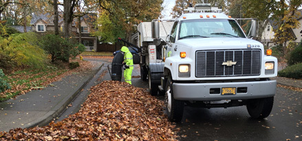 Leaf pickup