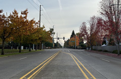 Shute Road