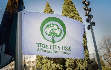 Tree City USA
