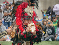 Latino Cultural Festival