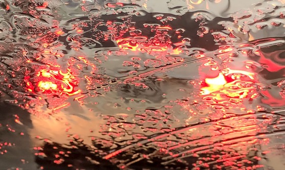 Rainy Windshield