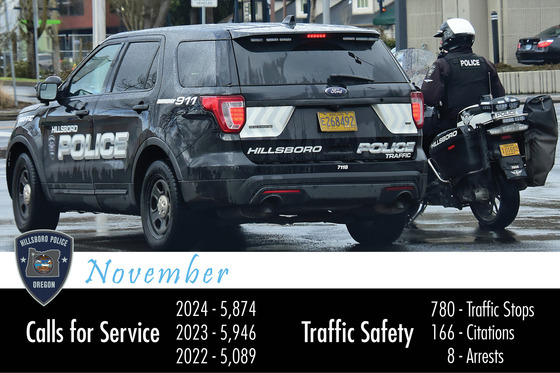 November Monthly Stats - Calls for Service; Traffic Safety