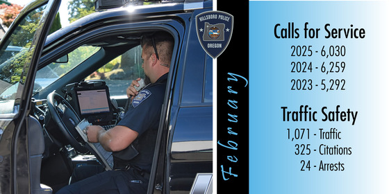 Monthly Calls for Service and Traffic Stats - February 2025
