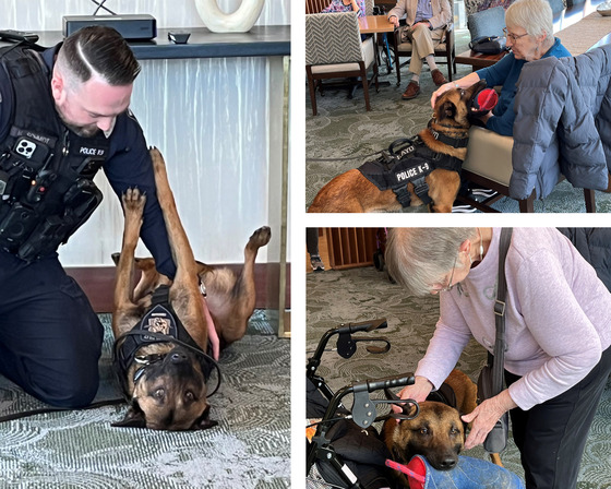 K-9 Rayo Visits Residents at The Ackerley 