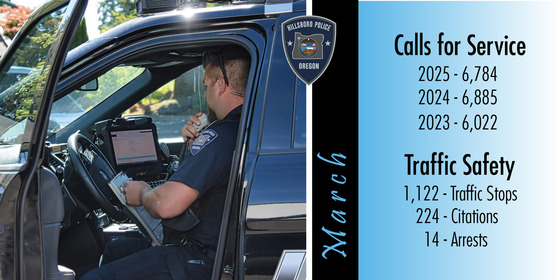 Monthly Calls for Service and Traffic Stats - March 2025