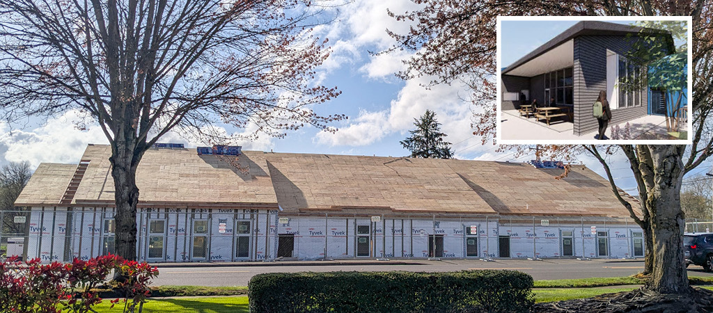 Shelter construction