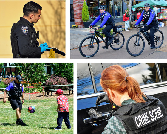 Collage of Photos for the Annual Report