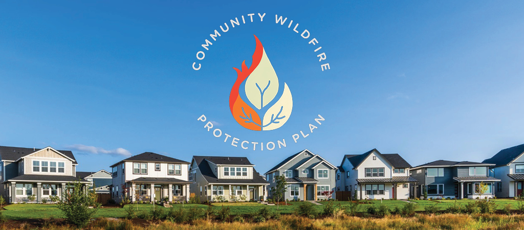 CWPP Engagement 1024x450