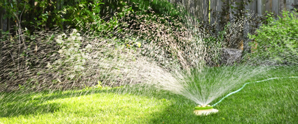 Watering tips