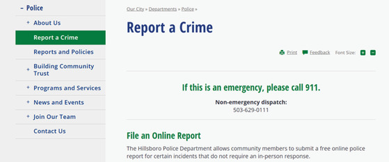 Screenshot of the Report a Crime Webpage