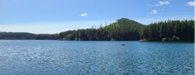 Summer Water Outlook