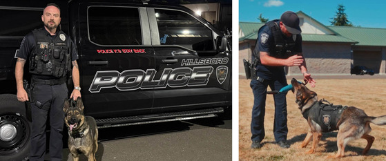 Two Photos - One of the Officer and K-9 Shadow Posing Next to the Police Vehicle; One of the Officer and K-9 Shadow Playing