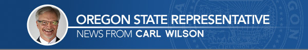 Carl Wilson Representative banner