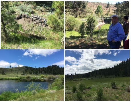 silvies valley ranck