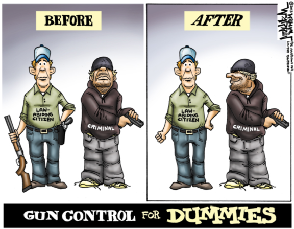 Gun COntrol