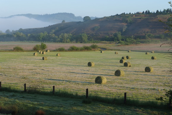 Oregon farmland