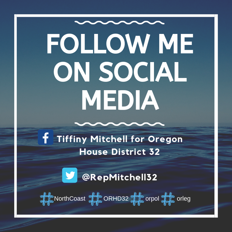 Rep. Mitchell Social Media 
