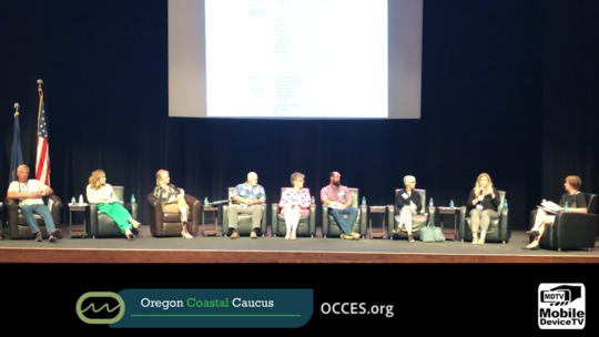 Industry Panel on Cap and Trade