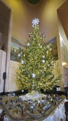 Tree Lighting Ceremony