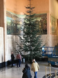 Capitol Holiday Grand Tree arrived for decorating