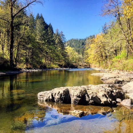 Tillamook State Forest