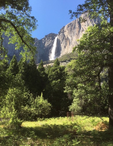 Yosemite National Park - Adam