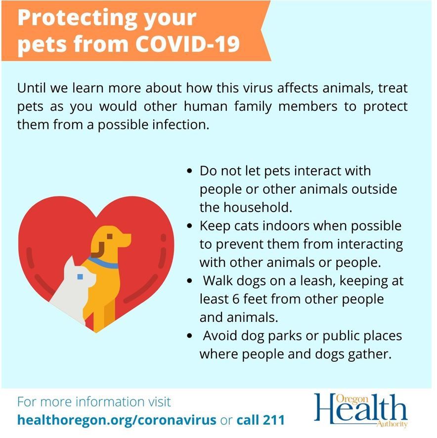 Protect pets