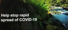 Help stop rapid spread of COVID-19 graphic