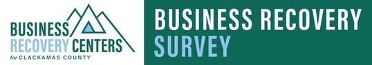 Business Recovery Centers Survey