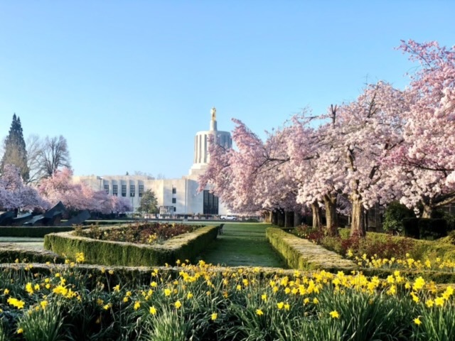 Capitol in spring 