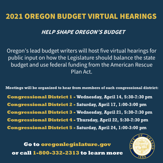 Budget hearing information 