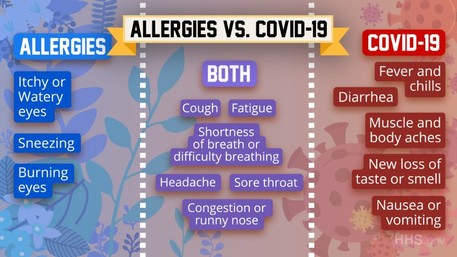 Allergies or COVID