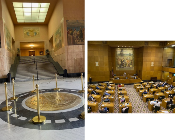 capitol lobby and house floor