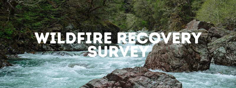 Wildfire Recovery Survey Graphic